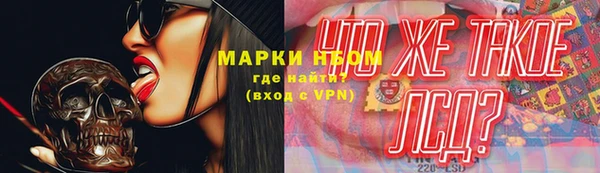 твердый Козельск