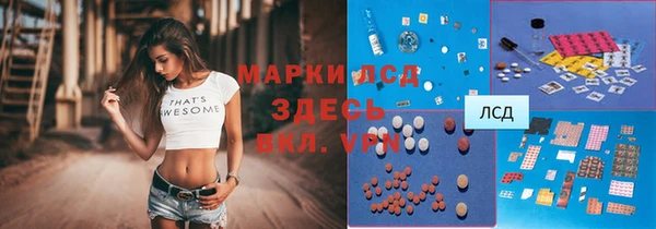 шишки Слюдянка