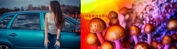 винт Нефтегорск