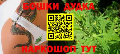 spice Кандалакша