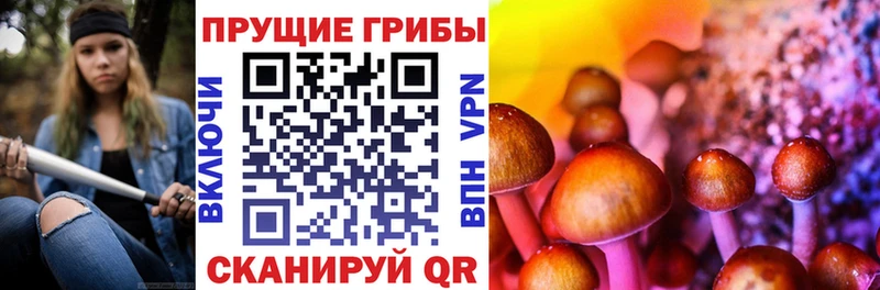 Галлюциногенные грибы ЛСД  как найти закладки  Полысаево 