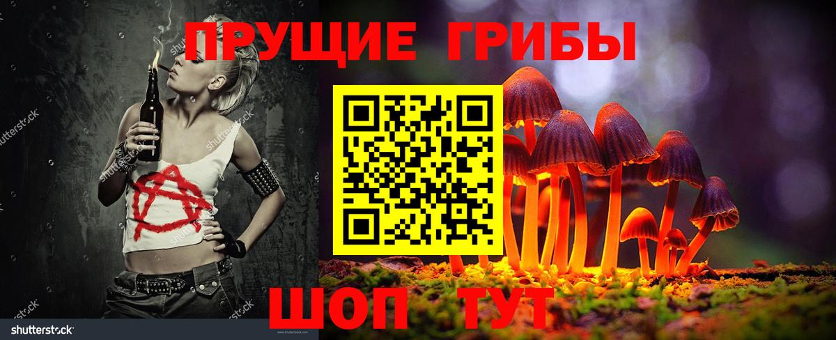 Псилоцибиновые грибы Psilocybe Полысаево